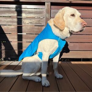 Ruffwear Sunshower Dog Rain Coat Medium, Blue